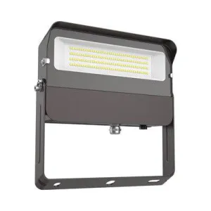 Flood Light 100W 5000K 120-277V DIM 0-10 Yoke Photocell
