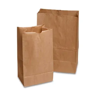 Heavy Duty Paper Bags #4 - 5'' x 3 1/8'' x 9 3/4'' - 250/Pack