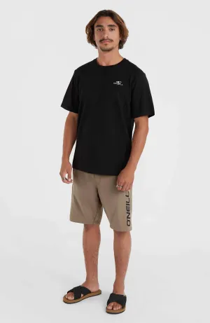 O'Neill Logo Sweatshorts | Pumpkin Smoke